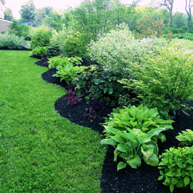 Landscape design example