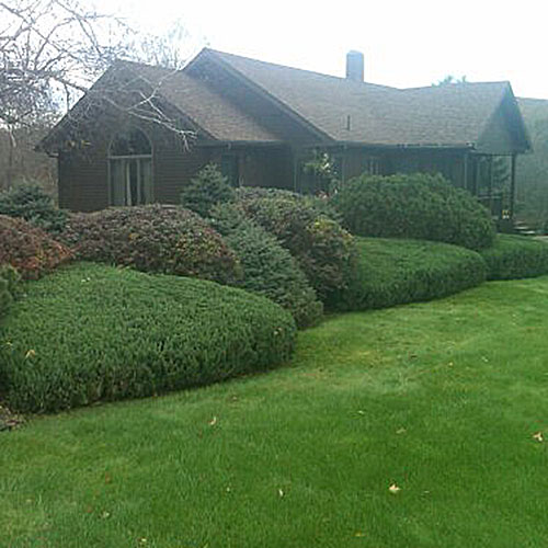 Lawn mowing, hedge trimming, and lawn fertilization.