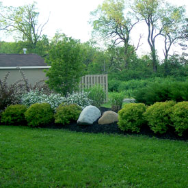 Planting featuring boulders.